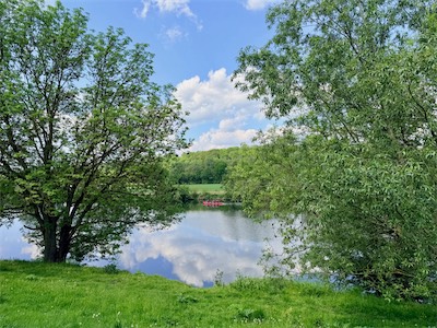 IMG_6307.jpg