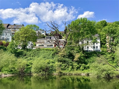 IMG_6335.jpg