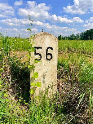 IMG_6339.jpg