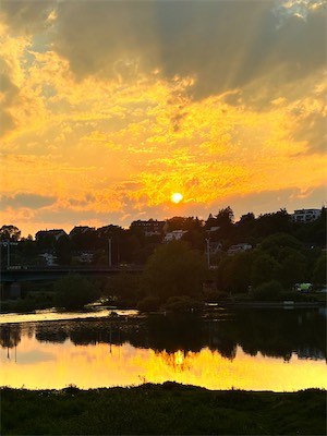 IMG_6484.jpg