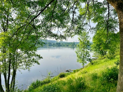 IMG_6372.jpg