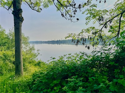 IMG_6374.jpg