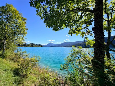 IMG_7503.jpeg