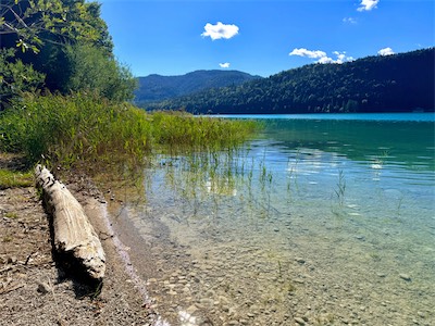 IMG_7505.jpeg