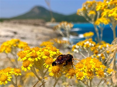 IMG_6622.jpeg