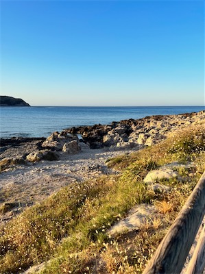 IMG_6681 2.jpeg