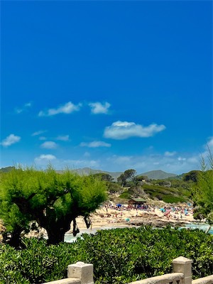IMG_6734 2.jpeg
