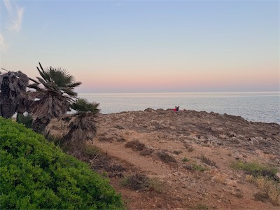 IMG_6805.jpeg