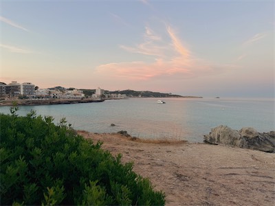 IMG_6808.jpeg