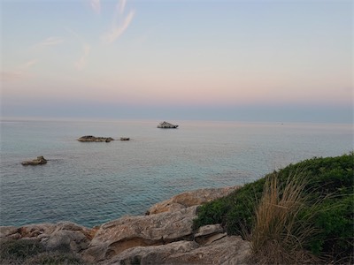 IMG_6809.jpeg